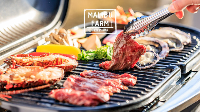 マリブファーム グリルBBQ